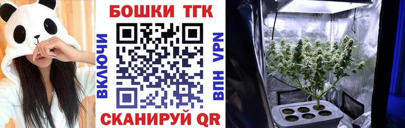 цены   Дятьково  Канабис сатива 